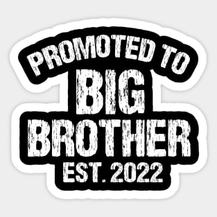 Promoted To Big Brother Sticker